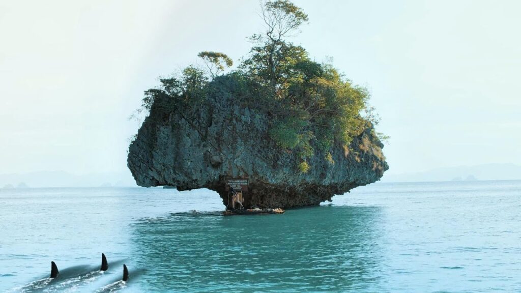 Shark Ambush: 48-Hour Survival After Plane Crash