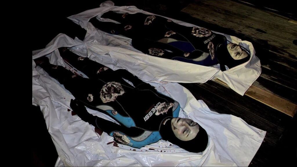 Parasite Outbreak: How Pollution Turned a Town Into Prey