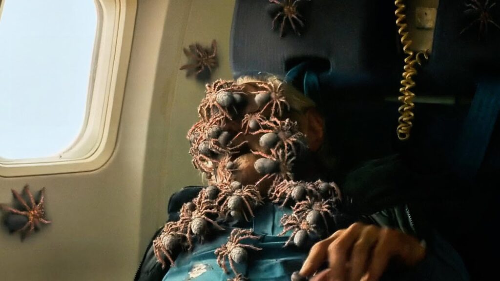 One Flight. Hundreds of Spiders. And No Escape at 30,000 Feet