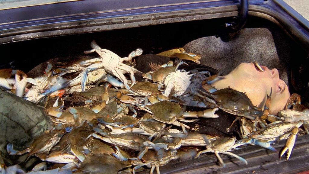 A Gruesome Message Left in the Trunk, With Crabs Crawling Over Death, Reminds Them No One Escaped